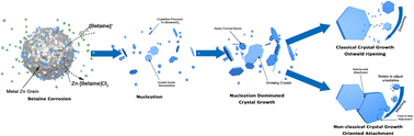 Graphical abstract: Controlling simonkolleite crystallisation via metallic Zn oxidation in a betaine hydrochloride solution