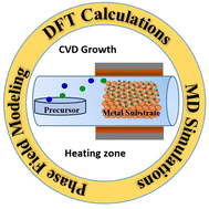 Graphical abstract: Growth mechanisms of monolayer hexagonal boron nitride (h-BN) on metal surfaces: theoretical perspectives