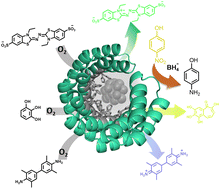 Graphical abstract: Nanozymes with versatile redox capabilities inspired in metalloenzymes