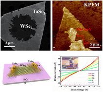 Graphical abstract: Epitaxial van der Waals contacts of 2D TaSe2-WSe2 metal–semiconductor heterostructures