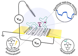 Graphical abstract: Covalent functionalisation controlled by molecular design for the aptameric recognition of serotonin in graphene-based field-effect transistors