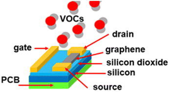 Graphical abstract: Detection of medically relevant volatile organic compounds with graphene field-effect transistors and separated by low-frequency spectral and time signatures