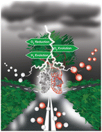 Graphical abstract: Designing Janus catalysts for renewable energy-relevant bifunctional small molecule activation