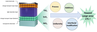 Graphical abstract: Towards scalability: progress in metal oxide charge transport layers for large-area perovskite solar cells