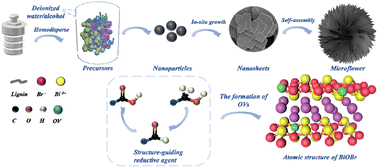 Graphical abstract: Enhancement effect of oxygen vacancy on photocatalytic CO2 reduction