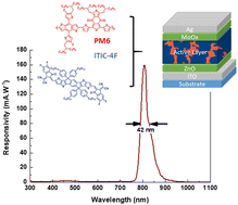 Graphical abstract: Towards efficient NFA-based selective near-infrared organic photodetectors: impact of thermal annealing of polymer blends