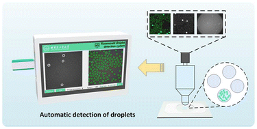 Graphical abstract: Automatic detection of fluorescent droplets for droplet digital PCR: a device capable of processing multiple microscope images