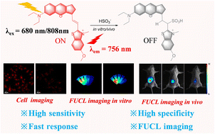 Graphical abstract: A near-infrared frequency upconversion fluorescent probe for rapid and sensitive visual detection of sulfur dioxide