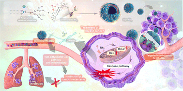 Graphical abstract: Multifunctional biomimetic liposomal nucleic acid scavengers inhibit the growth and metastasis of breast cancer