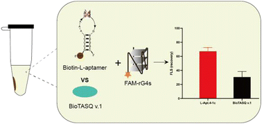 Graphical abstract: Capture of RNA G-quadruplex structures using an l-RNA aptamer