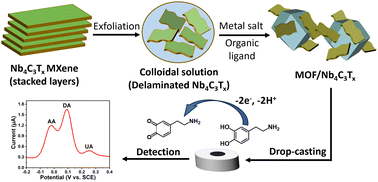 Graphical abstract: Metal–organic framework/Nb4C3Tx MXene composites for ultrasensitive detection of dopamine