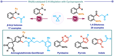 Graphical abstract: Rh(iii)-catalyzed aldehydic and aryl C–H alkylation with cyclopropanols via C–H/C–C bond activation