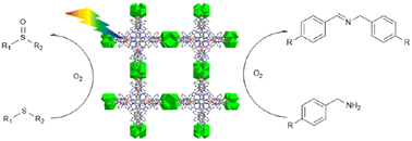 Graphical abstract: C 3 symmetric Ru(N^N)3-metalloligand functionalized Zr6-organic frameworks for photocatalytic sulfide and amine oxidation