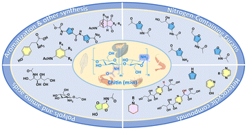 Graphical abstract: Organonitrogen platform chemicals and pharmaceutical precursors: a perspective on sustainable chitin utilization