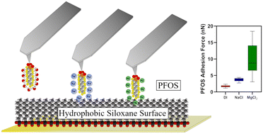 Graphical abstract: Investigation into the adhesion properties of PFAS on model surfaces