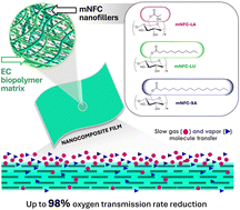 Graphical abstract: High barrier bio-nanocomposite films of ethyl cellulose integrated with modified nanocellulose: effect of nanocellulose's substituted side chains on film performance