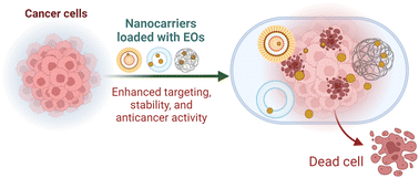 Graphical abstract: Beyond aromatherapy: can essential oil loaded nanocarriers revolutionize cancer treatment?