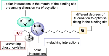 Graphical abstract: Syntheses of differentially fluorinated triazole-based 1-deoxysphingosine analogues en route to SphK inhibitors