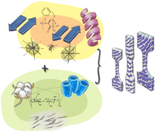 Graphical abstract: Advanced mechanical properties of amphiphilic polymer conetworks through hierarchical reinforcement with peptides and cellulose nanocrystals