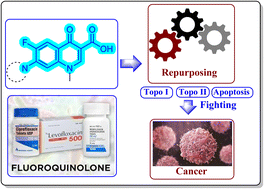 Graphical abstract: Drug repurposing of fluoroquinolones as anticancer agents in 2023