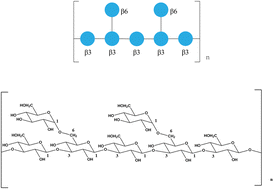 Graphical abstract: Preparation, structure and application of polysaccharides from Poria cocos