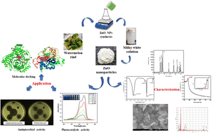 Graphical abstract: In silico molecular docking and ADMET prediction of biogenic zinc oxide nanoparticles: characterization, and in vitro antimicrobial and photocatalytic activity