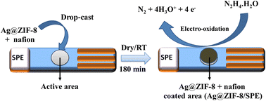 Graphical abstract: Construction of a hydrazine electrochemical sensor using Ag@ZIF as the electrode material