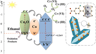 Graphical abstract: Cu/Cu2O/NH2-MIL-88B (Fe) heterojunction as the photocatalyst to remove hexavalent chromium heavy metal ions in water