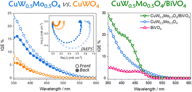 Graphical abstract: Improving the photoelectrocatalytic efficiency of CuWO4 through molybdenum for tungsten substitution and coupling with BiVO4