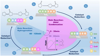 Graphical abstract: One-step synthesis of 2-cyclopentylcyclopentanone from cyclopentanone catalyzed by NiO-Co3O4/TiO2: reaction pathway