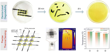 Graphical abstract: Wholly degradable quasi-solid-state thermocells for low-grade heat harvesting and precise thermal sensing