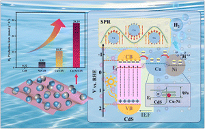 Graphical abstract: Plasmonic Cu–Ni bimetal nanoparticles coupled with ultrathin CdS nanosheets for remarkably improved photocatalytic H2 generation under visible-light irradiation