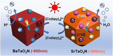 Graphical abstract: Solar hydrogen production via a Z-scheme water splitting system based solely on perovskite-type tantalum oxynitrides