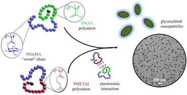Graphical abstract: Glycosylated polyplex micelles from oppositely charged block copolymers