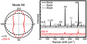 Graphical abstract: Temperature dependent Raman study of antiferromagnetic CrPS4