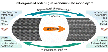 Graphical abstract: Self-organised ordering of scandium into basal monolayers of aluminium nitride and its implication for the growth of well-crystallized (Al,Sc)N materials for electronic devices