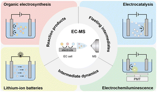 Graphical abstract: Recent advances and applications of electrochemical mass spectrometry for real-time monitoring of electrochemical reactions