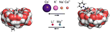 Graphical abstract: Metal cations switch geometry of β-cyclodextrin complexes
