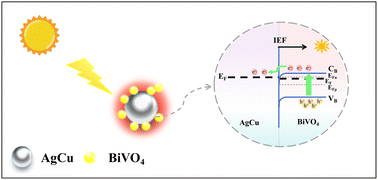 Graphical abstract: Boosting the photocatalytic performance of BiVO4via plasmonic AgCu alloy engineering