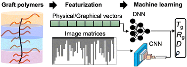 Graphical abstract: Machine learning of the architecture–property relationship in graft polymers