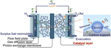 Graphical abstract: Three-phase microenvironment modification by optimizing ionomer towards high-performance proton exchange membrane fuel cells