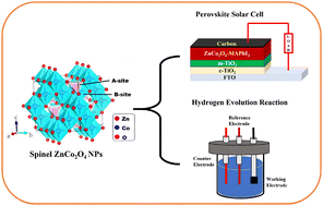 Graphical abstract: Multi -functional zinc cobaltite materials for perovskite solar cell and hydrogen evolution reaction applications