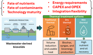 Graphical abstract: Thermal treatment options for biosolids management: a critical review