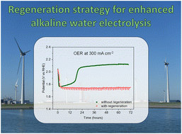 Graphical abstract: Regeneration of iron species for high and stable activity of nickel electrodes in the oxygen evolution reaction