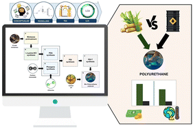 Graphical abstract: Integrated technoeconomic and environmental assessment of biogenic polyurethane production