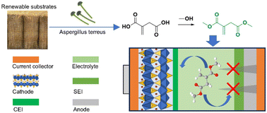Graphical abstract: Bio-derived dimethyl itaconate: a sustainable, low-cost electrolyte additive for high-performance lithium batteries