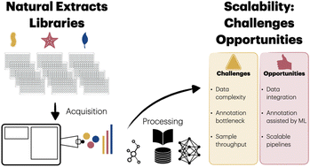 Graphical abstract: Scalability of mass spectrometry-based metabolomics for natural extracts libraries exploration: current status, challenges, and opportunities