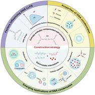 Graphical abstract: Advances in the construction and biological applications of DNA condensates