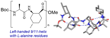 Graphical abstract: Crystallographic characterization of the 9/11-helix: a left-handed helix for 1 : 1 α/β-peptides containing l-α-amino acid residues