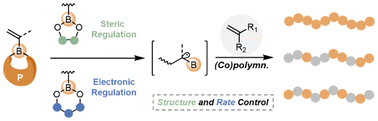Graphical abstract: Modulating the radical polymerization behavior of alkenyl boronates via boronate tuning